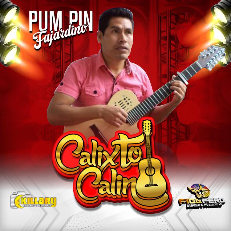 CALIXTO CALIN's avatar image