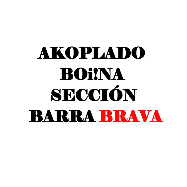 BARRA BRAVA's avatar image