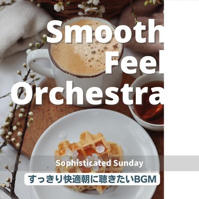 Smooth Feel Orchestra's cover