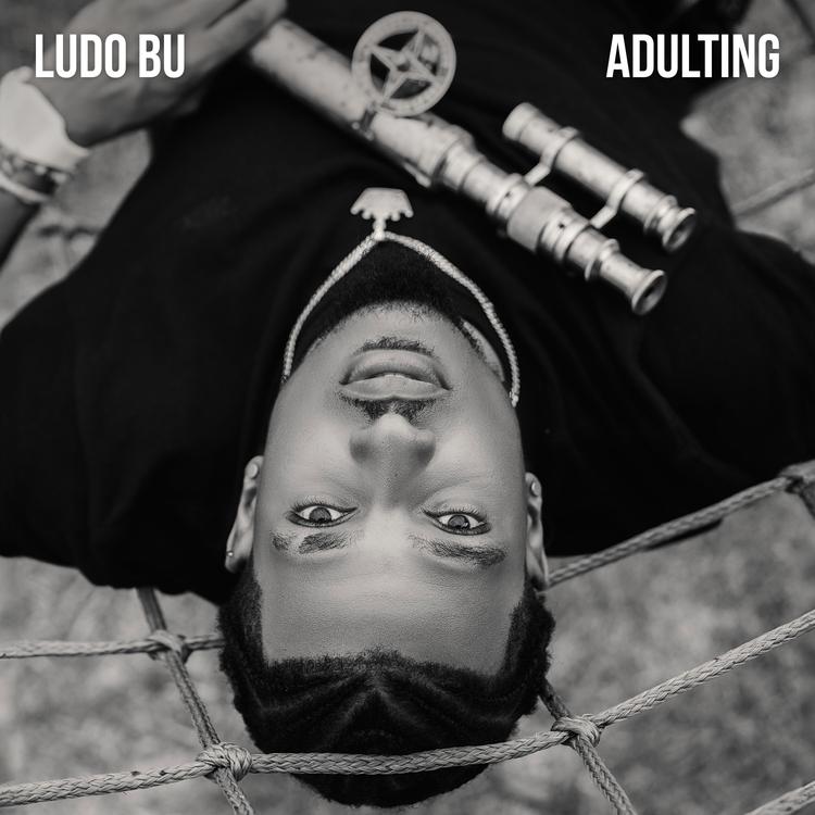 Ludo Bu's avatar image