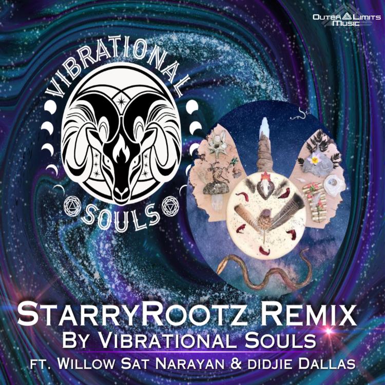 Vibrational Souls's avatar image