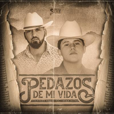 Pedazos De Mi Vida's cover