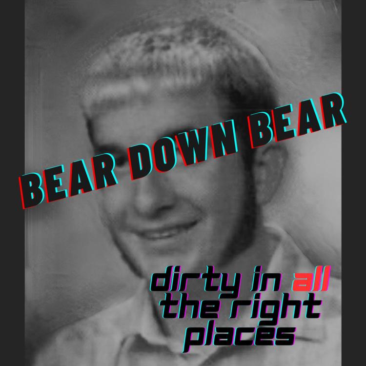 BEAR DOWN BEAR's avatar image