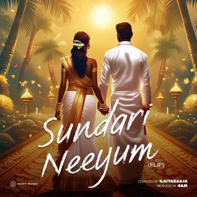 Sundari Neeyum (Flip)'s cover