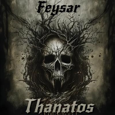 Feysar's cover