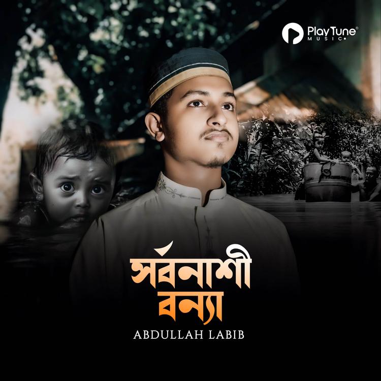 Abdullah Labib's avatar image