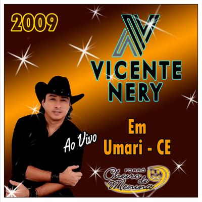 Vida boa - Ao Vivo By Vicente Nery's cover