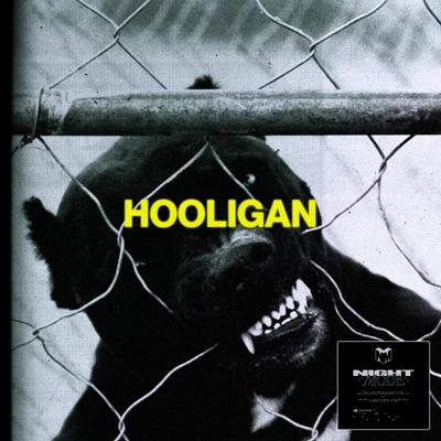 HOOLIGAN By TWERL's cover