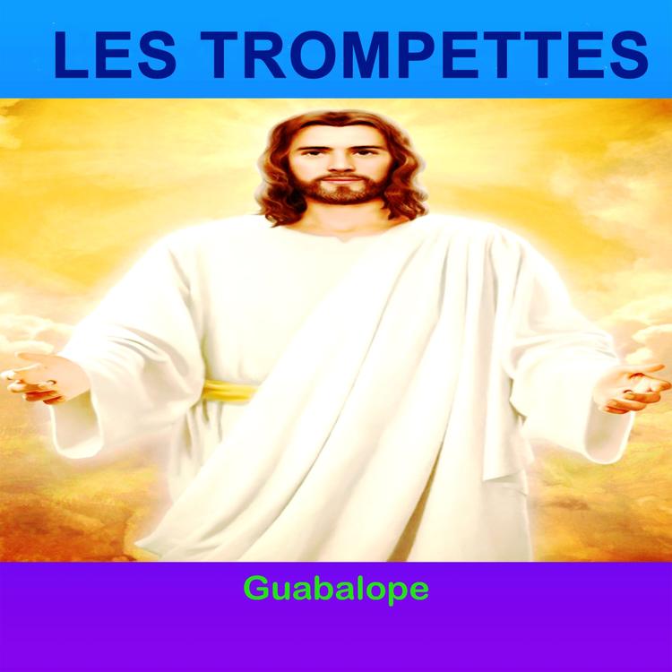 LES TROMPETTES's avatar image