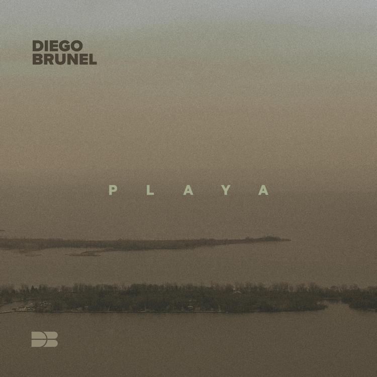 Diego Brunel's avatar image