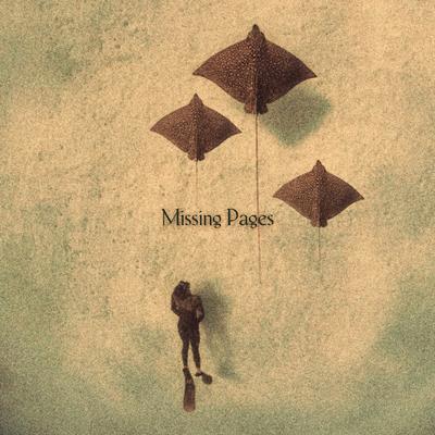 Missing Pages By Shehzan Mehta, Zaish, Reet Shah's cover