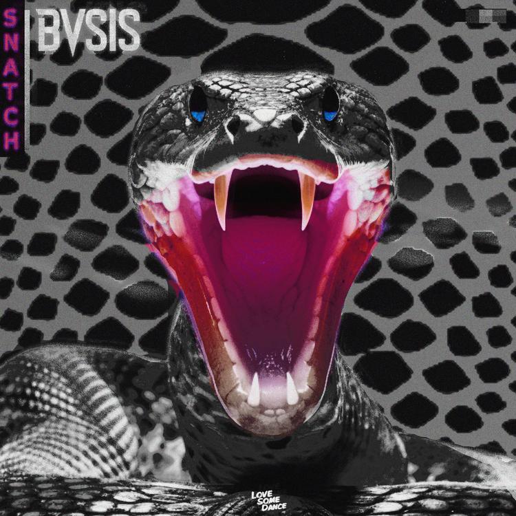 BVSIS's avatar image