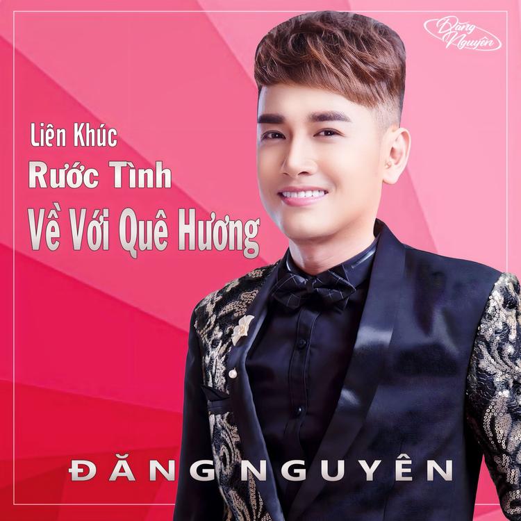 Đăng Nguyên's avatar image