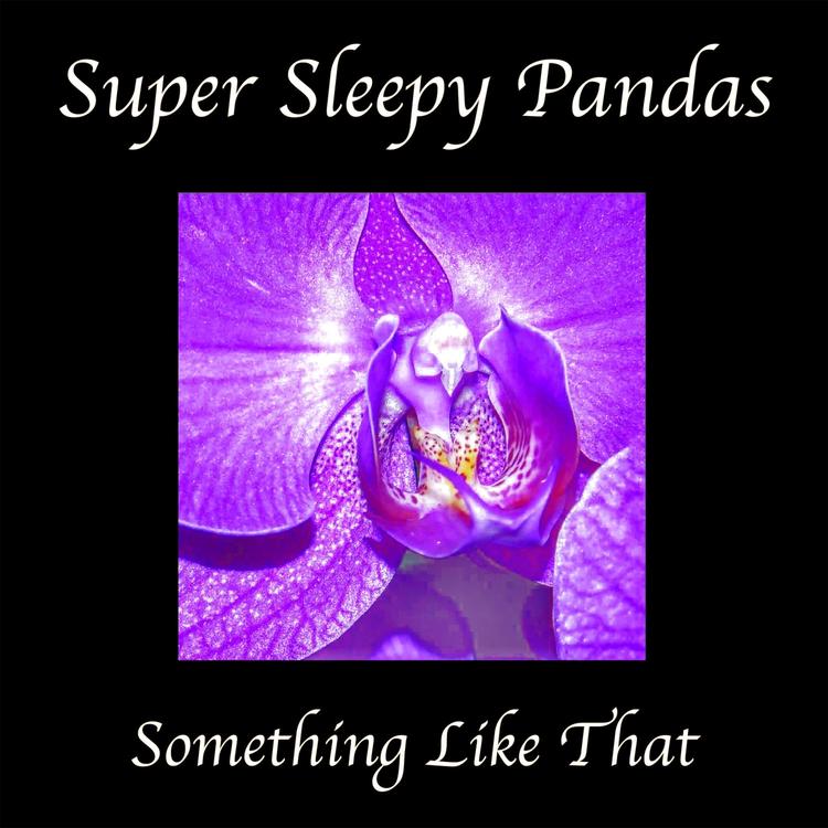 Super Sleepy Pandas's avatar image