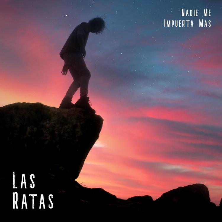 Las Ratas's avatar image