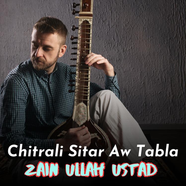 Zain Ullah Ustad's avatar image