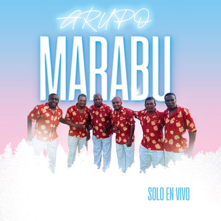Grupo Marabu's avatar image