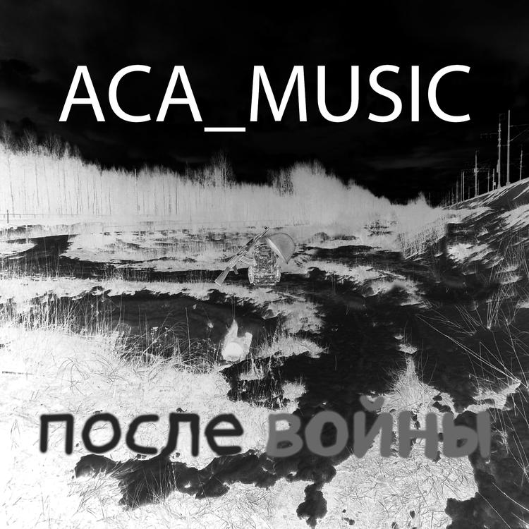 ACA_Music's avatar image