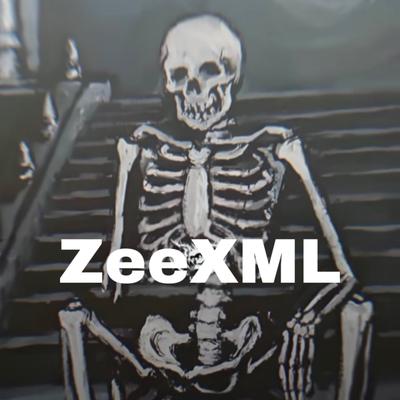 Zee XML's cover