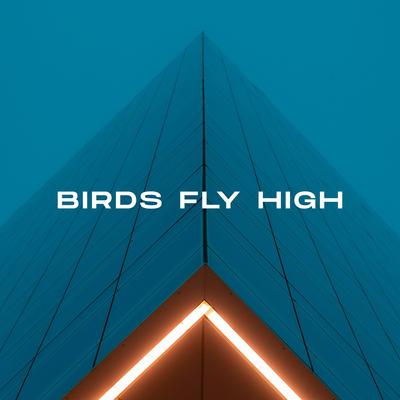 Birds Fly High (Slowed)'s cover