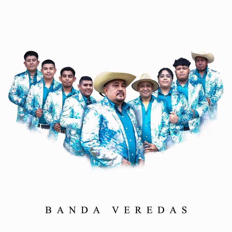 Banda Veredas's avatar image