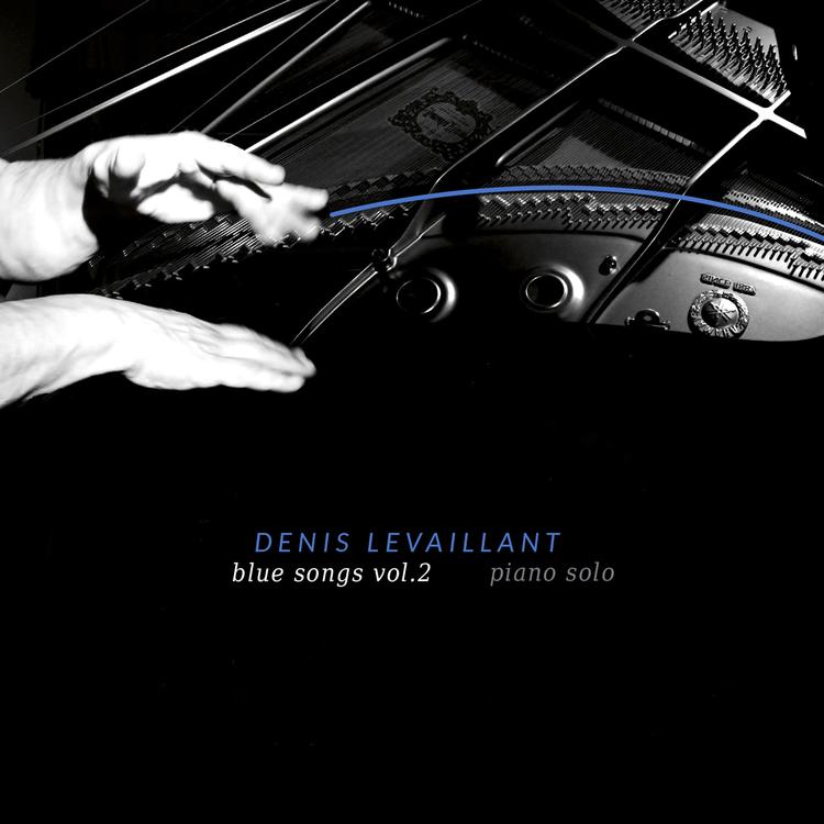 Denis Levaillant's avatar image