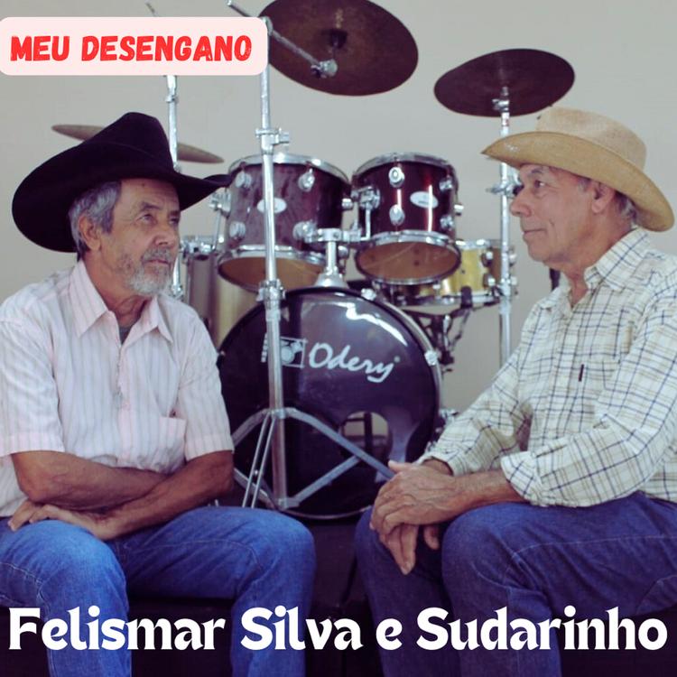 felismar silva e sudarinho's avatar image