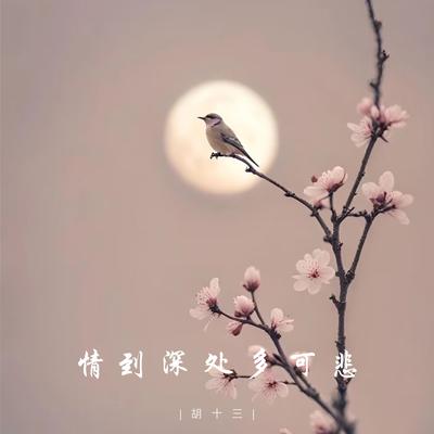 胡十三's cover