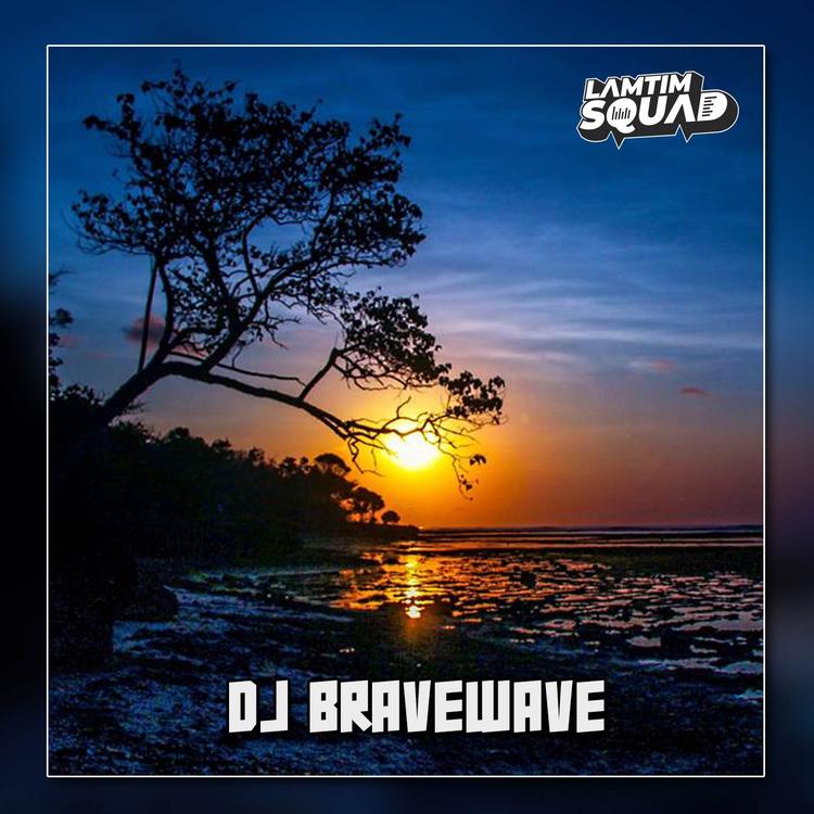 DJ BRAVEWAVE's avatar image