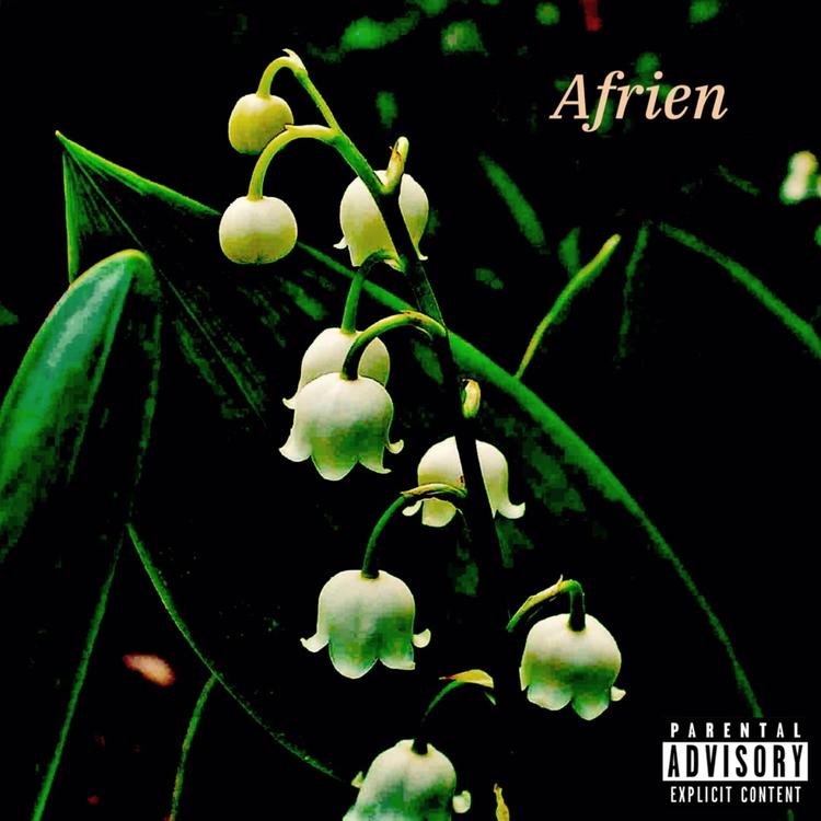 Afrien's avatar image