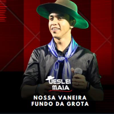 Nossa Vaneira, Fundo da Grota (Cover)'s cover