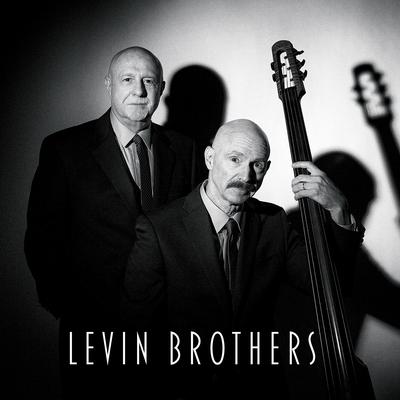 Levin Brothers's cover