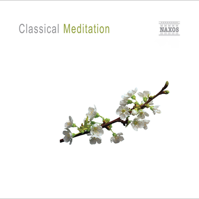 Cantus arcticus, Op. 61, "Concerto for Birds and Orchestra": II. Melankolia (Melancholy) By Royal Scottish National Orchestra, Hannu Lintu's cover