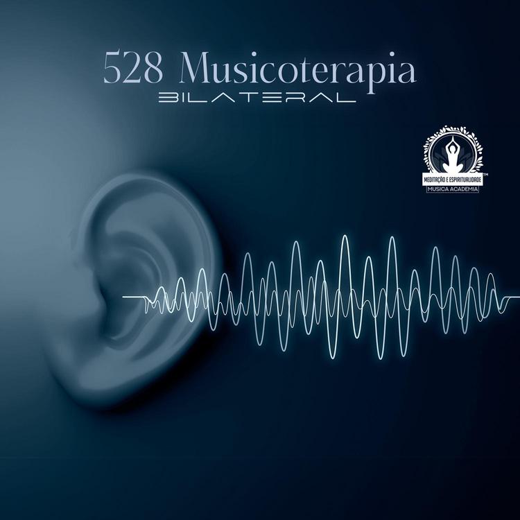 Meditação Espiritualidade Musica Academia's avatar image