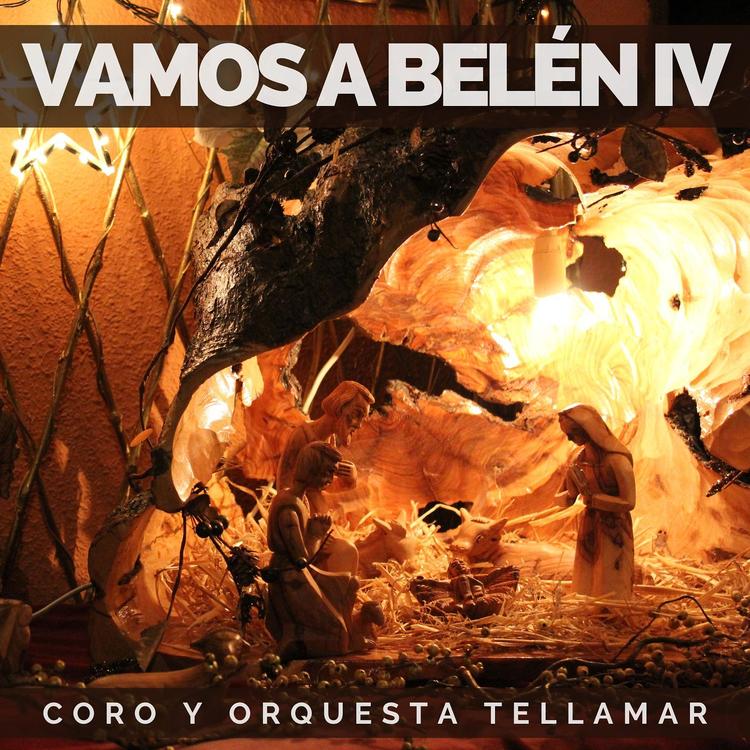 Coro y Orquesta Tellamar's avatar image