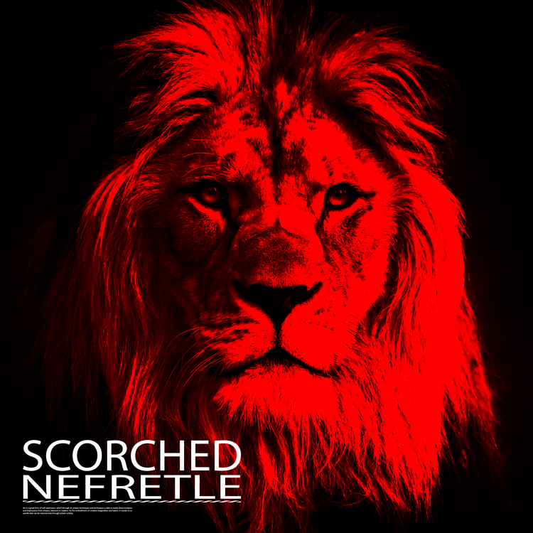 Nefretle's avatar image