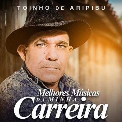 Mais o Que É Que Me Falta Fazer Mais By Toinho de Aripibú's cover