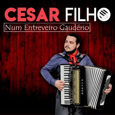 Num Entreveiro Gaudério's cover