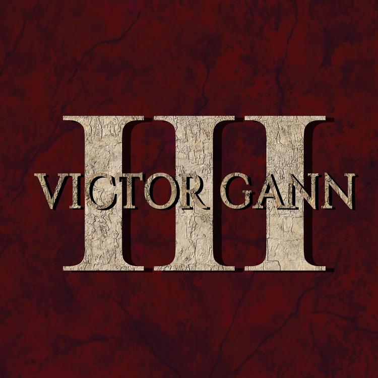 Victor Gann's avatar image