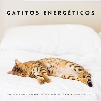 Sinfonía Juguetona De Gatitos's cover
