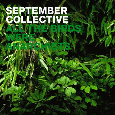 Natura By September Collective's cover