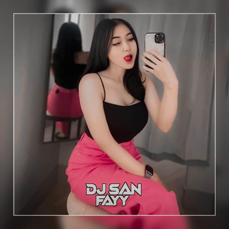 DJ SAN FAYY's avatar image