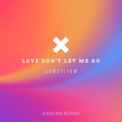 Love Don't Let Me Go (Hardstyle Remix)'s cover