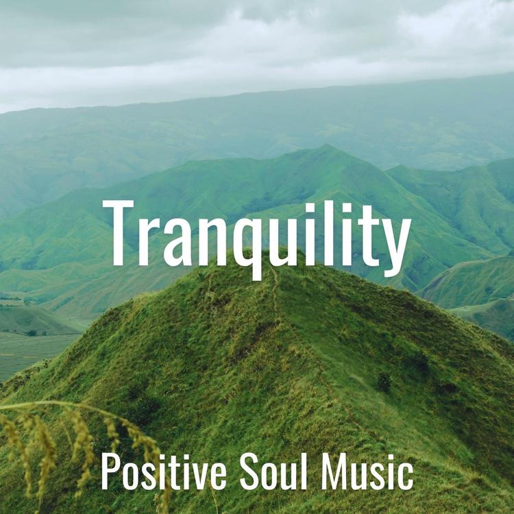 Positive Soul Music's avatar image