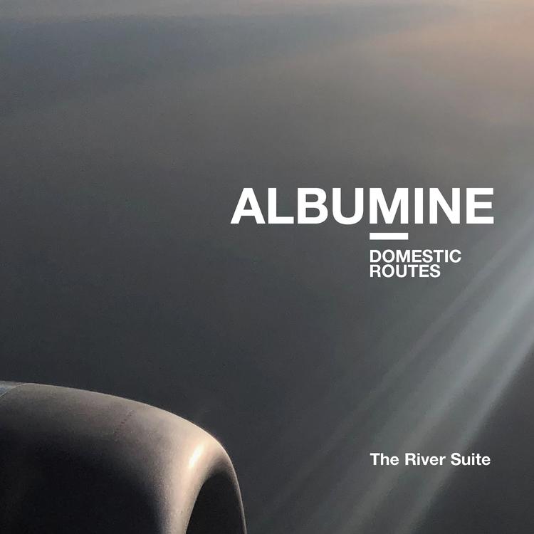 Albumine's avatar image