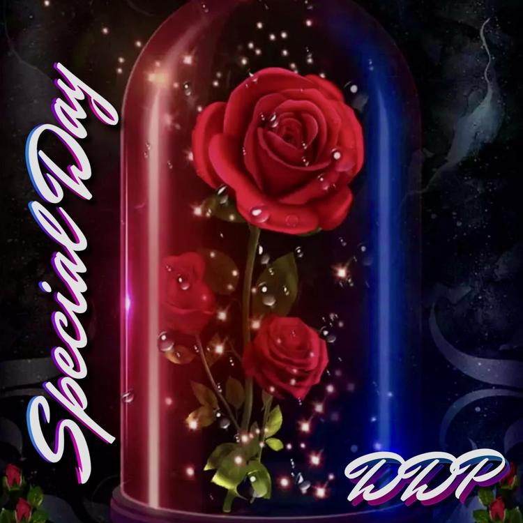 DDP's avatar image