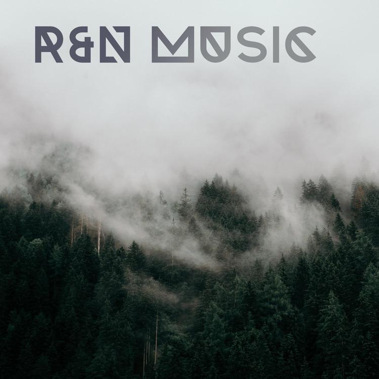 R&N Music's avatar image