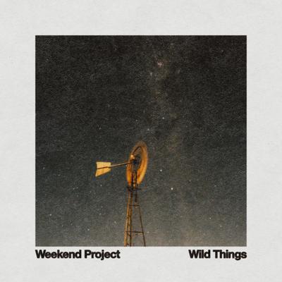 Wild Things's cover