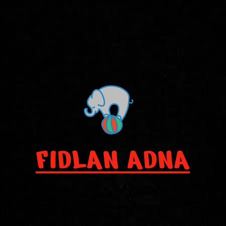 Fidlan Adna's avatar image