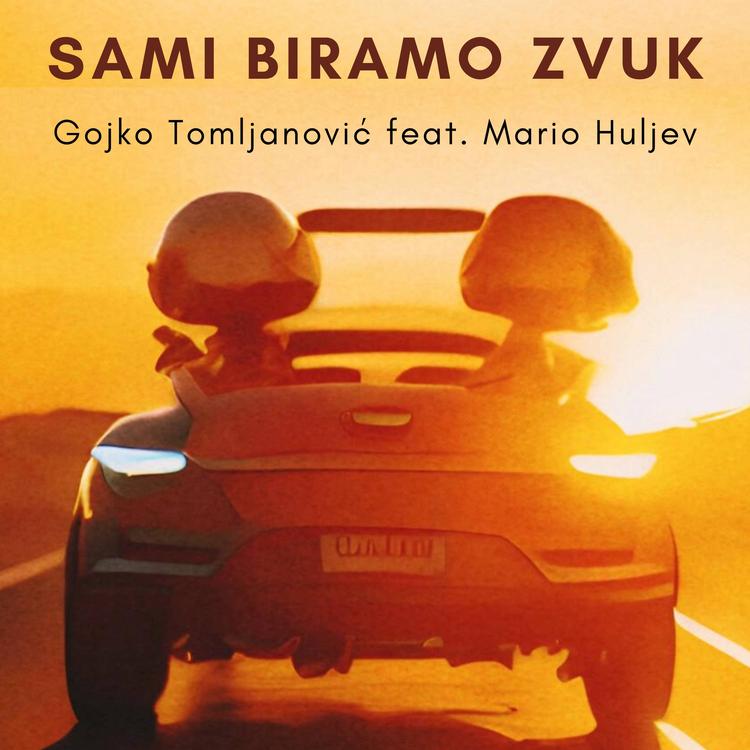 Gojko Tomljanović's avatar image